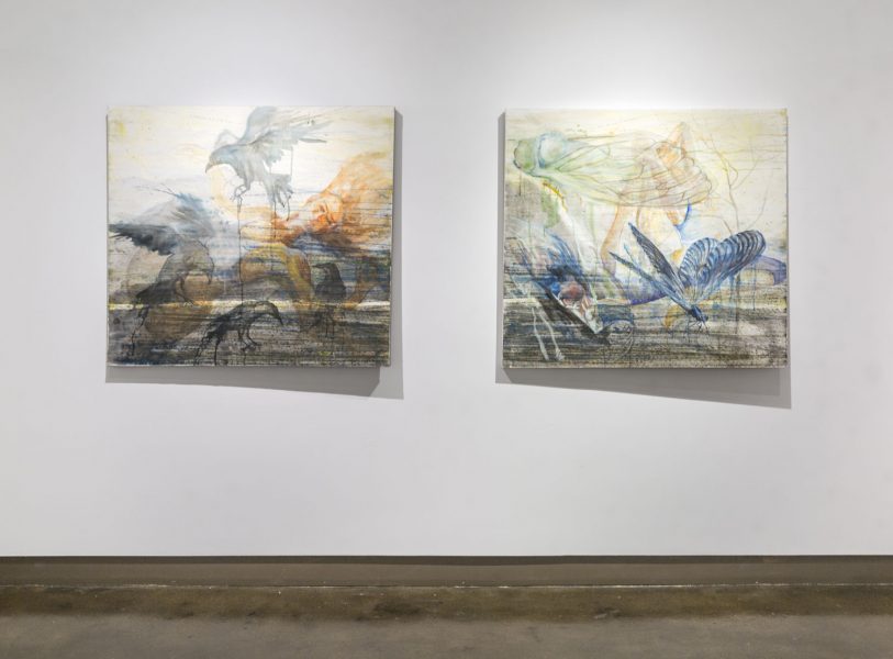 Two square paintings hung on a white wall next to each other, depicting birds and cicadas and other animals in nature, the paintings have drips and streaks on them, and are black, orange, yellow, blue, green, purple