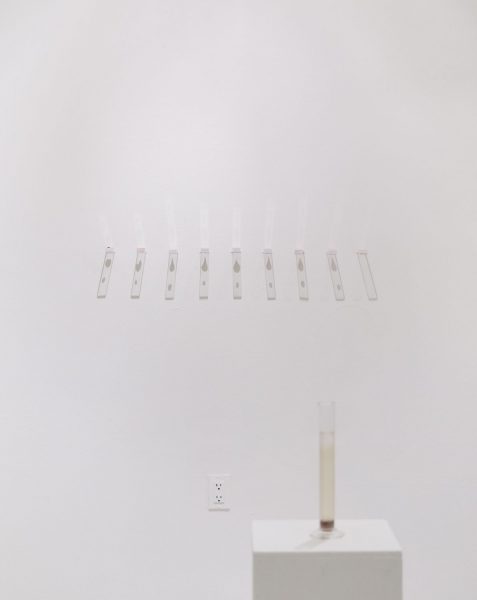 Seven small clear rectangular cubes installed horizontally coming off of a white wall, with a teardrop shaped flower petal on top closer to the wall, and a small round dot on top away from the wall, there is a shadow that is casted from the installation on the bottom on the wall, there is a graduated cylinder on a pedestal in front of the installation with tan liquid and brown substance settled on the bottom