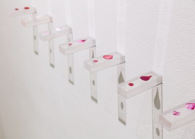 Seven small clear rectangular cubes installed horizontally coming off of a white wall, with a teardrop shaped flower petal on top closer to the wall, and a small round dot on top away from the wall, there is a shadow that is casted from the installation on the bottom on the wall