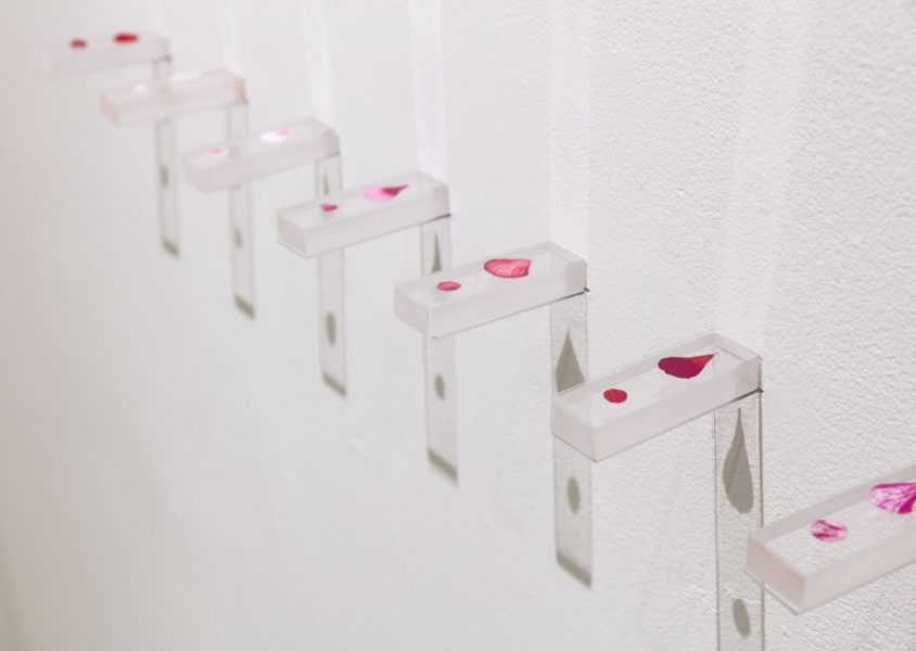 Seven small clear rectangular cubes installed horizontally coming off of a white wall, with a teardrop shaped flower petal on top closer to the wall, and a small round dot on top away from the wall, there is a shadow that is casted from the installation on the bottom on the wall
