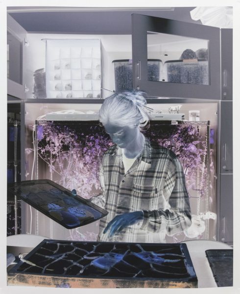 Negative print of a woman holding a tray and looking down at a work table in a laboratory