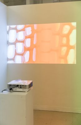 A projector on a white pedestal projecting a mostly orange background with white cell like shapes on the right and left side