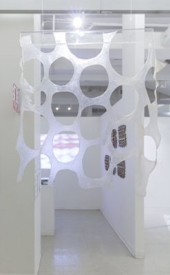 A piece of clear material made out of bacterial cellulose with circles cut out is hanging with back lighting, in the background you can see white walls from a gallery with various other installations