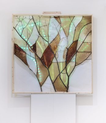 Tree branches form lines that mimic stained glass borders with white, beige, tan, and brown SCOBY stretched between the branches and rainbow lights shining through the back of the piece all in a light raw wood frame displayed on a pedestal.