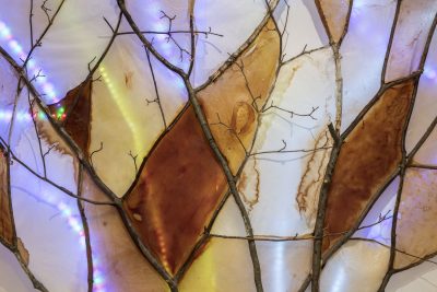 Tree branches form lines that mimic stained glass borders with white, beige, tan, and brown surfaces between the branches and rainbow lights shining through the back of the piece