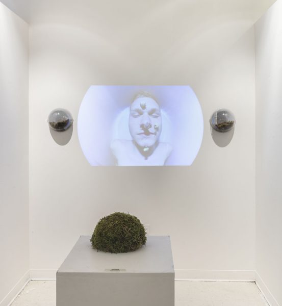 There is a projection with round sides, of a man with his eyes closed and four snails crawling all over his face, on the left and right of the projection there is a clear dome on each side installed against the wall with a snail terrarium inside, in front of this installation is a white pedestal with a green moss dome on it