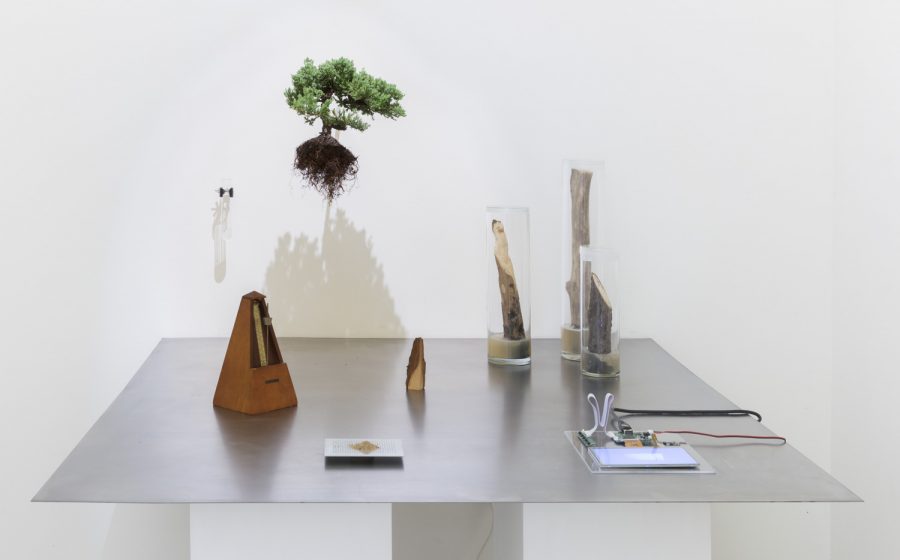 Installation with a bonsai tree with roots and soil still intact hung from the wall, three branches vertically displayed in clear tubes, a metronome, a piece of wood, a print with brown shavings on it, a circuit board on a clear sheet of acrylic/glass, and a small fluid filled vial is also installed on the wall next to the bonsai tree