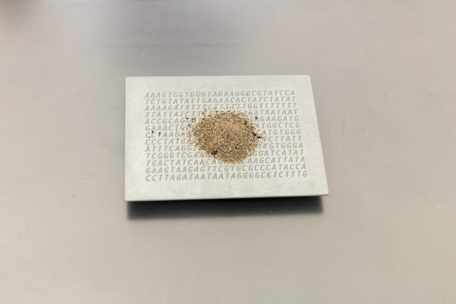 A square print with the letters "AAAGTGGTGGTAGGGCC...etc" repeatedly printed in a square format with brown shavings in a small pile in the middle, the print looks suspended slightly from the floor