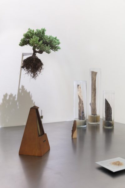 Installation in a gallery with a bonsai tree hung from the wall on the left, three tree branches are displayed vertically in clear tubes on the right, with a small piece of wood in front of it and a metronome to the left, there is also a piece of paper with some brown shavings on it to the right