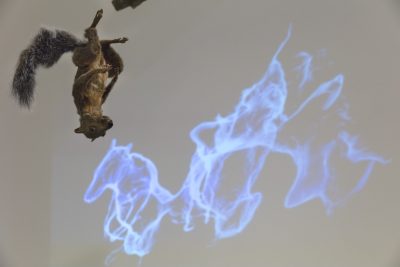 A squirrel hanging upside down with a projection of blue, white, and black wispy lines in the background