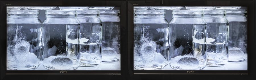 Two identical images on four glass jars with silk cacoons inside them, the third jar to the left has water in it instead, shown on two Sony TV screens