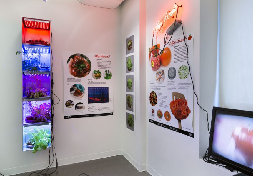 Installation shot of an exhibition featuring Bio Artworks including projects such as materials, garments, foods, and more produced with the tools of biotech and through symbiotic relationships with other species.