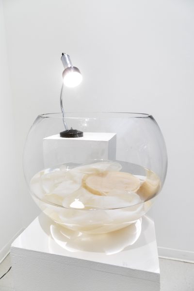 A large fishbowl half full of water and a fleshy like material sits on a pedestal, illuminated by a the spotlight of a lamp.