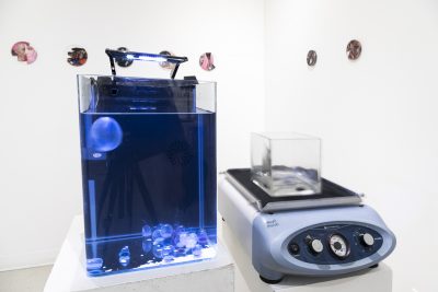 A glass aquarium full of water with transparent spheres sits next to an appliance that is shaking a square vase of water