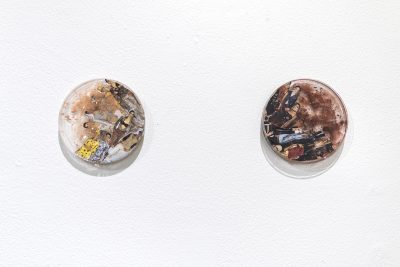 Collages of portraits inside of round petri dishes are mounted on the wall