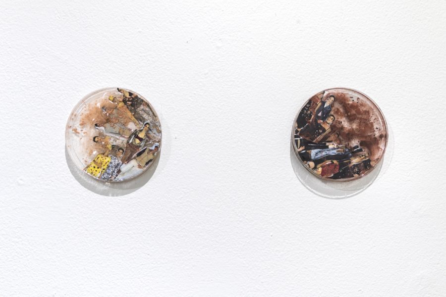 Collages of portraits inside of round petri dishes are mounted on the wall