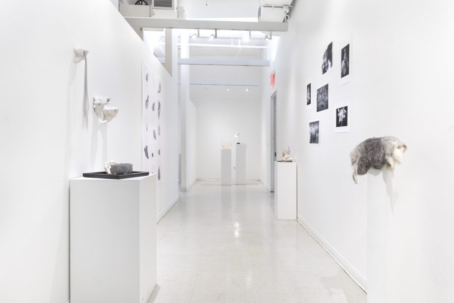 nstallation view of photographs and sculptures displayed down a long white hallway