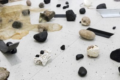 Small rocks, mushrooms, scarp materials and ceramic fragments scattered on the floor