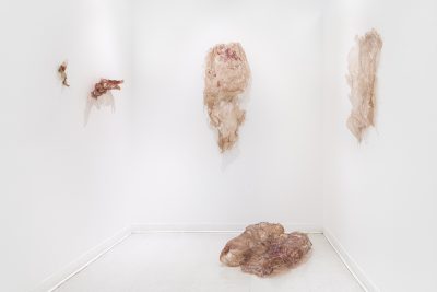 Fragile transparent sculptures made of gelatin and blood hang from the walls of a white room