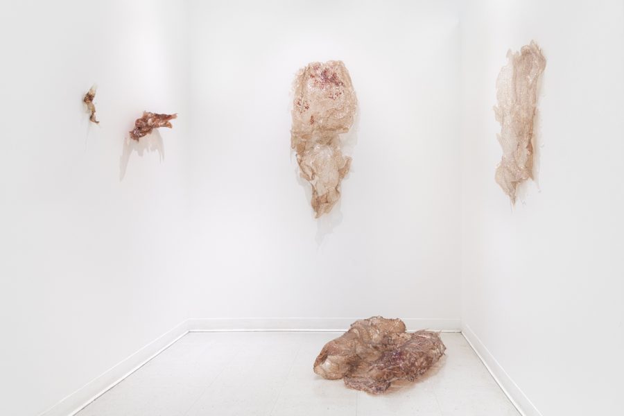 Fragile transparent sculptures made of gelatin and blood hang from the walls of a white room