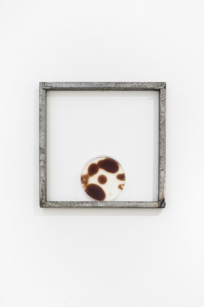 A steel square frame hangs on a white wall with a small round dish resting at the bottom. Inside the dish are large brown orbs of oxidized blood.