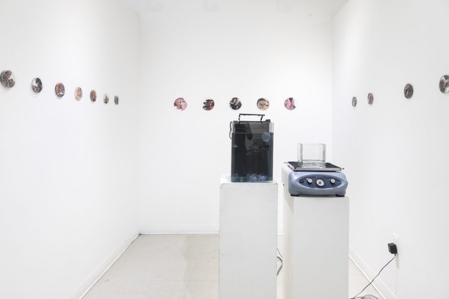 In a white room two appliances sit on pedestals. Small round photographs are installed in a single line outlining the room.