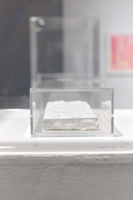 Exhibition Liminality 2019. SVA Chelsea Galleries,New York. Artwork by Ruofan Chen. Small white rectangular object placed inside of an clear plastic box.