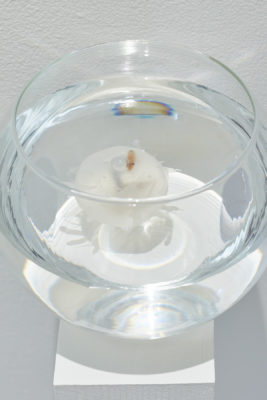 Arial view of fish bowl on wall mounted shelf with frozen sphere floating inside