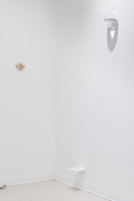 In the corner of a white room, a glass fishbowl is suspended high on a wall, with a small shelf mounted near the floor