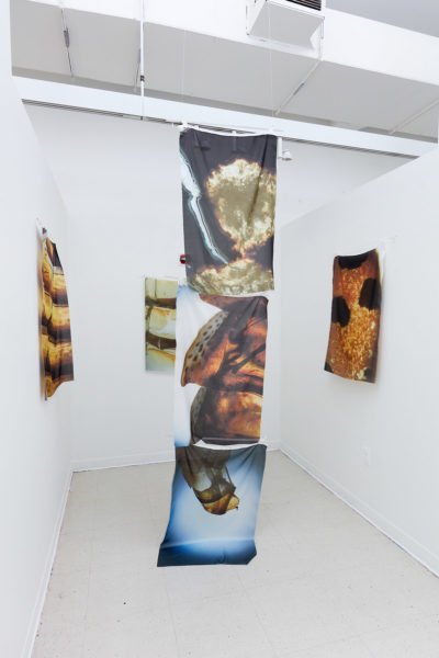 Photographs of insects printed on silk hang from the ceiling in a white room.