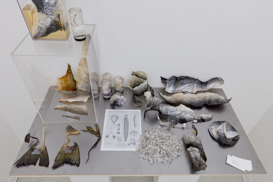 Samples of deconstructed fish skins, scales and tails sit on a table around a black and white diagram of a ship and magnifying glass.