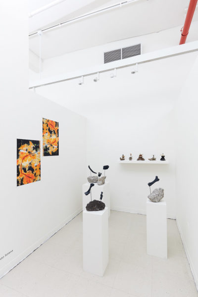 In the corner of a white room two microscopic photos hang on one wall, while 3 pedestals hold sculptures made of found natural materials