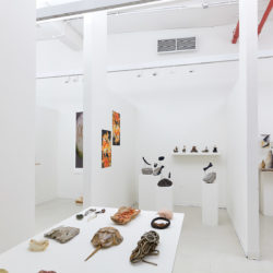 Installation view of studio cubicles, including many natural artifacts displayed on tables, shelves and pedestals