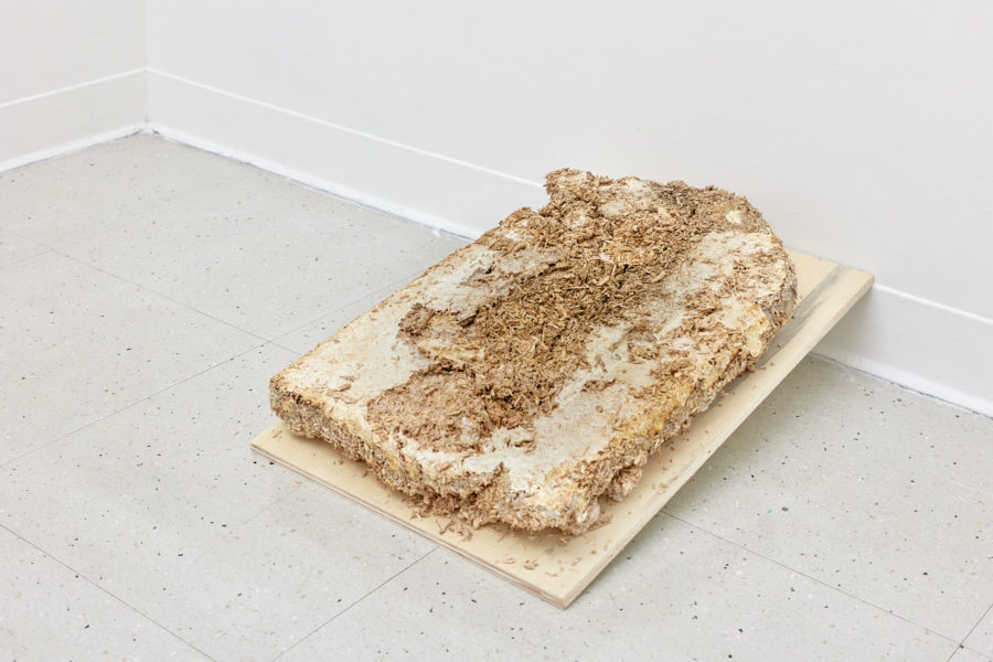 A sheet of slightly inclined wood holds a tombstone shaped pile of wood chips being digested by mycelium growth