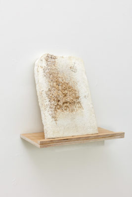 A wooden shelf with a tombstone grown out of mycelium hangs on a white wall