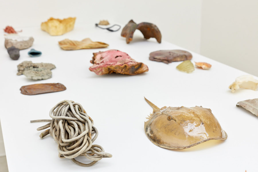 In a white room, a large white table displays a collection of found natural materials