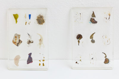 Two transparent rectangles, made of tiny objects embedded in resin, lean on a wall mounted shelf