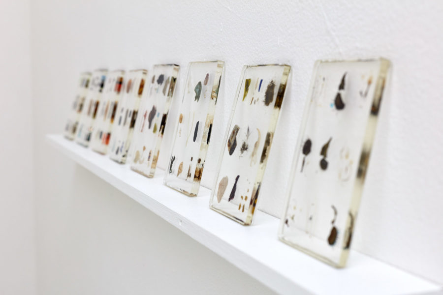 8 transparent rectangles, made of tiny objects embedded in resin, lean on a wall mounted shelf