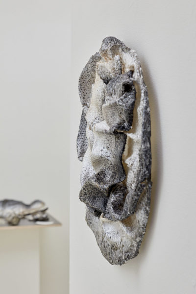 A round wreath of rippled salmon skin is installed on a wall