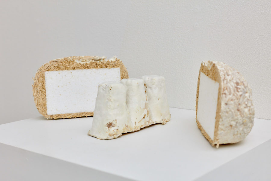 A sculpture made of mycelium grown around styrofoam is cut inhale to reveal the inside.