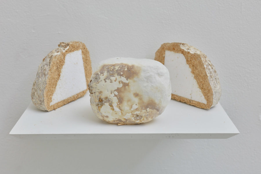 A sculpture made of mycelium grown around styrofoam is cut inhalf to reveal the inside.