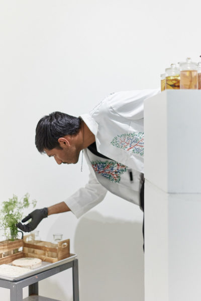 A man in a lab coat and gloves leans down and touches a plant cutting in a vase