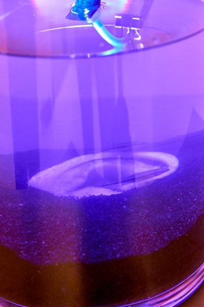 Detail of ear shaped sculpture buried in sand and submerged in murky water under a purple light.