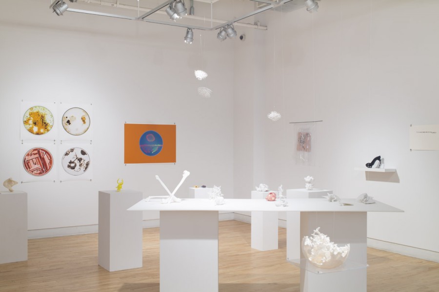 Installation view of sculptures made with rounded organic lines, from white materials, and prints hung on the back wall