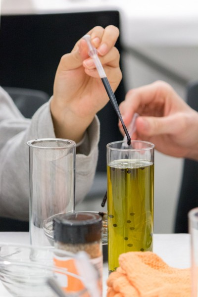 Student hand releasing drops of vinegar in a rounded-shaped recipient filled with olive oil.
