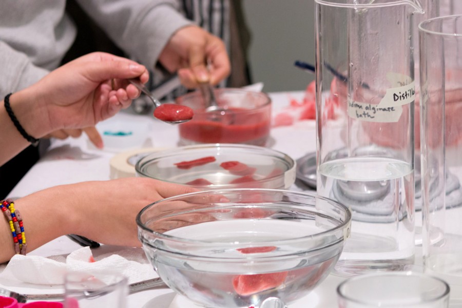 Two students are working with red organic materials carried in spoons over two transparent bowls filled with water.