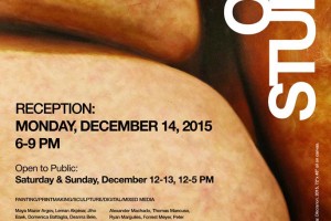 An advertisement for OPEN STUDIOS, at School of Visual Arts, BFA Fine Arts Department, 335 West 16 St, New York, 10011. Reception is on Monday, december 14, 2015, 6-9pm and open to public on Saturday & Sunday, December 12-13, 12-5pm The poster represents body parts with small portions covered with thin hair on the top of the poster
