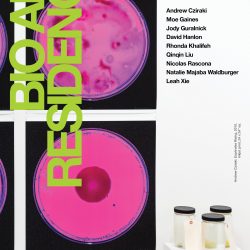 Poster for Bio Art Residency with an illustration of pink bacteria paintings