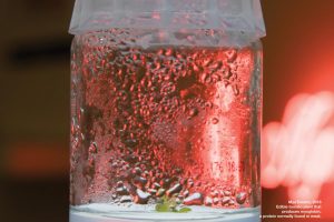 A poster for The Biophilia Hypothesis with a jar with some liquid in it placed on a light table and a red neon behind on the wall