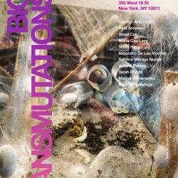 Poster with "Bio Transmutations" on the left side in magenta/purple gradient letters, above that in white text shows the time of exhibition, and on the right in magenta text is the location information with the exhibition artists in white text below it, all on a background depicting various beige textures, larvae, and cacoons